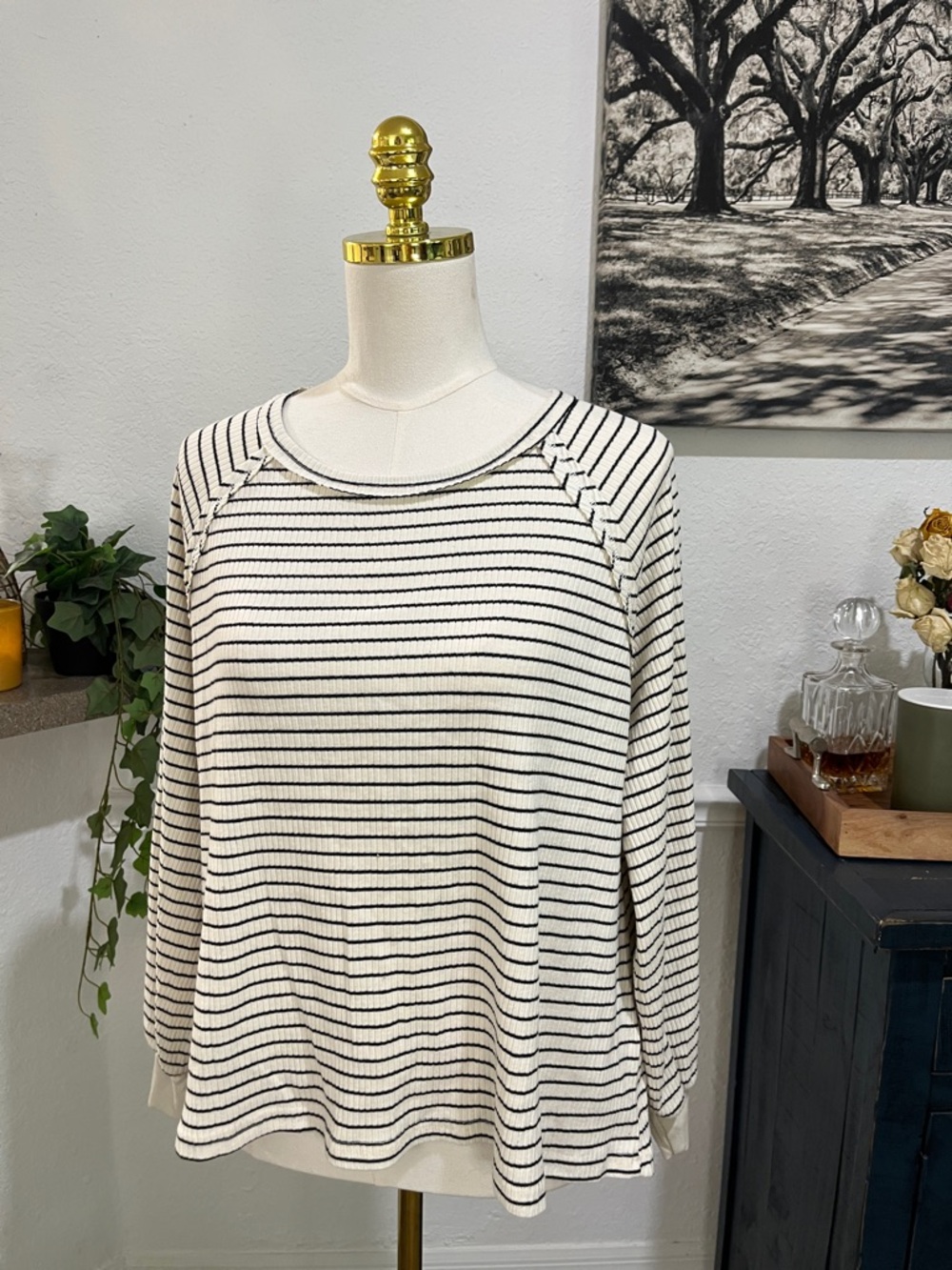 Striped Crewneck Knit Pullover Sweatshirt - Cream/Black